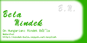 bela mindek business card